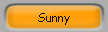 Sunny